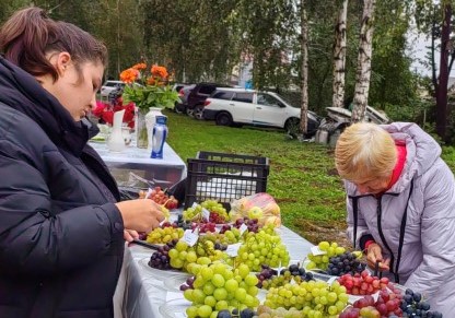 В храме Святой Троицы села Малоугренево прошла выставка винограда и плодов